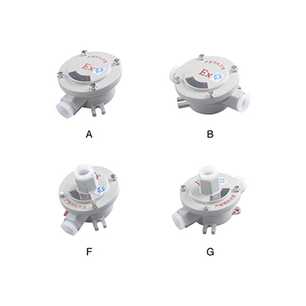AH系列防爆接线盒( IIc、tD)